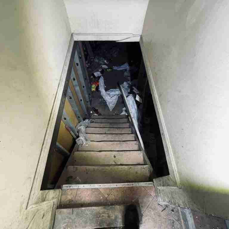 20506 Cardoni (59).jpg